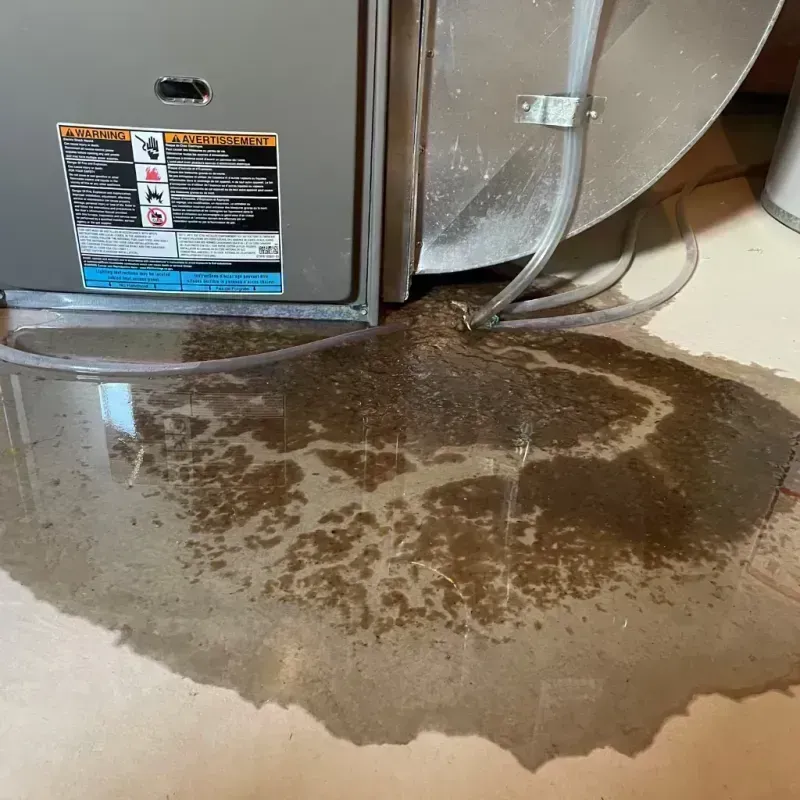 Appliance Leak Cleanup in Mahwah, NJ